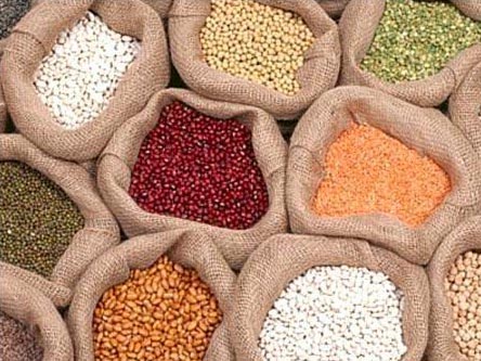 indian-pulses-1276572.jpg